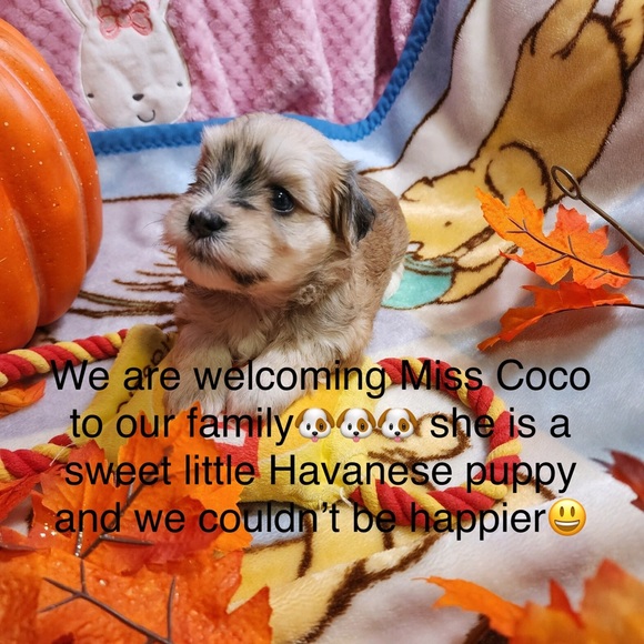 “MEET THE POSHER” so nice to meet you🌷 - Picture 6 of 17